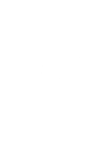 Brain Bucket GraphX